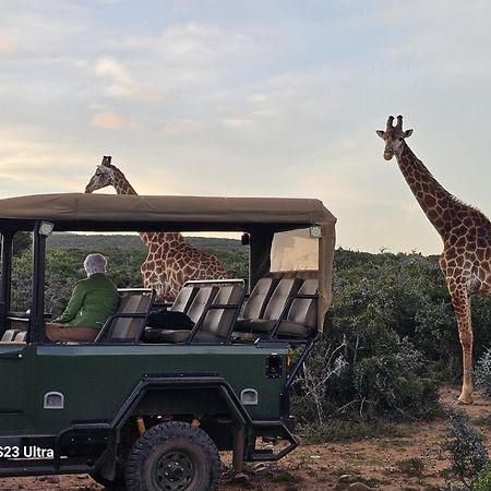 Valley Bushveld Country Lodge Addo Luaran gambar