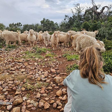 Valley Bushveld Country Lodge Addo Luaran gambar