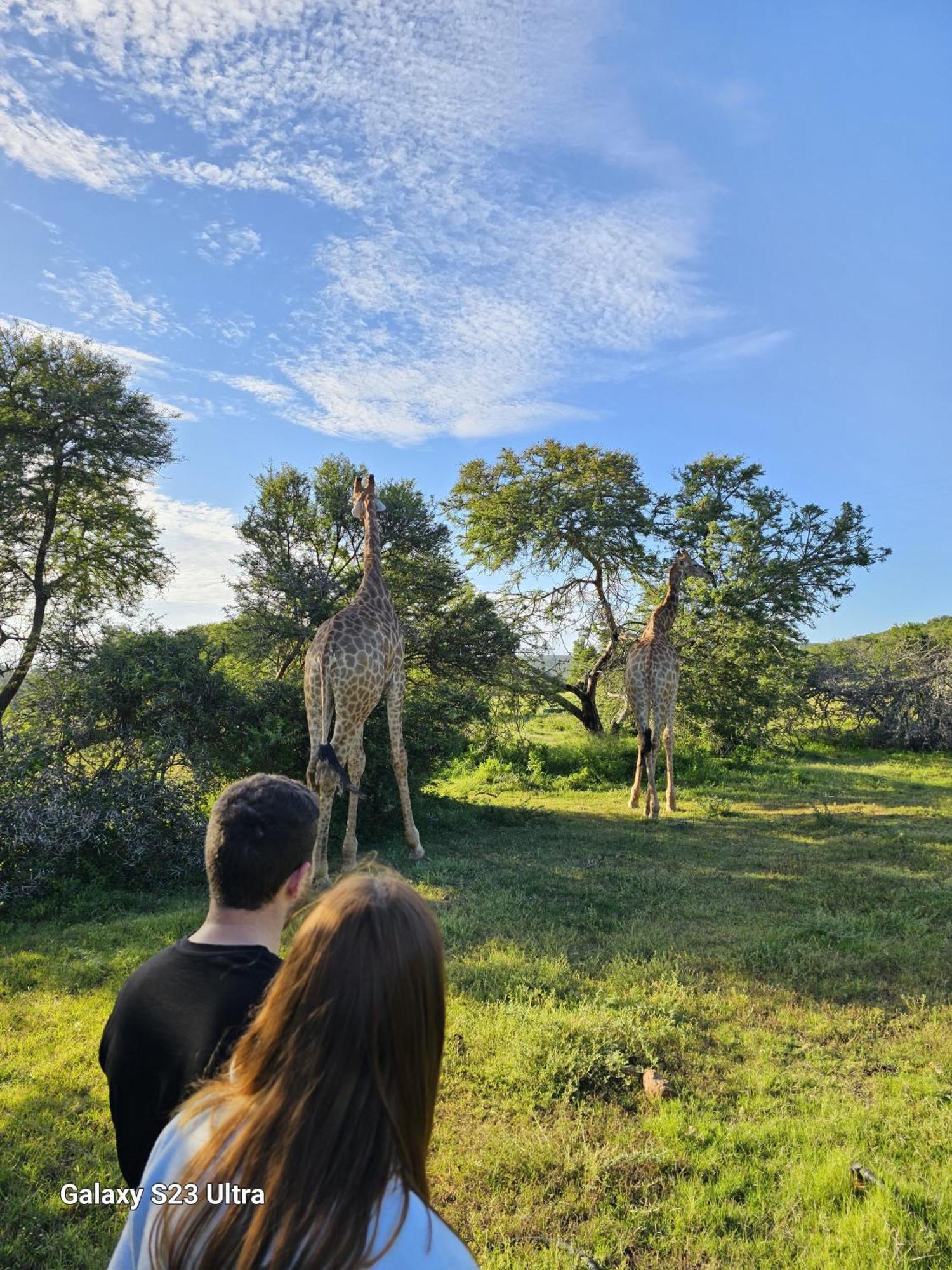 Valley Bushveld Country Lodge Addo Luaran gambar