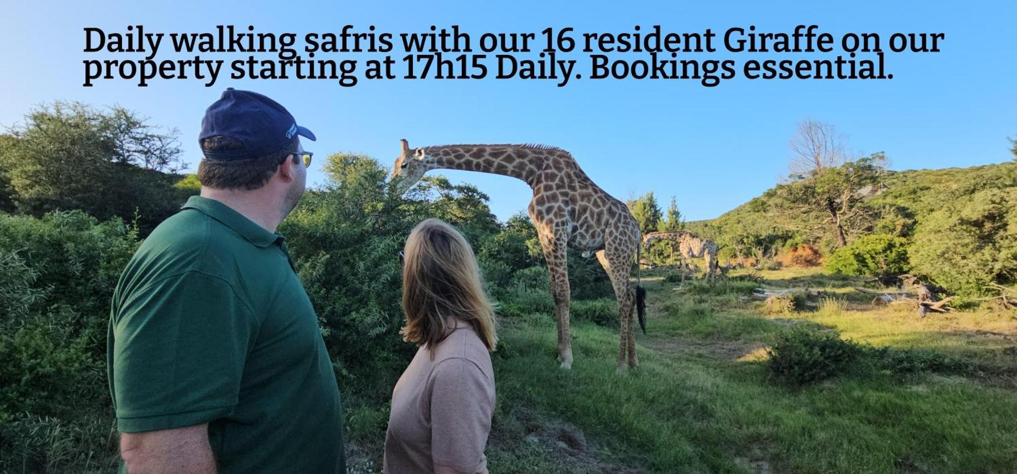 Valley Bushveld Country Lodge Addo Luaran gambar