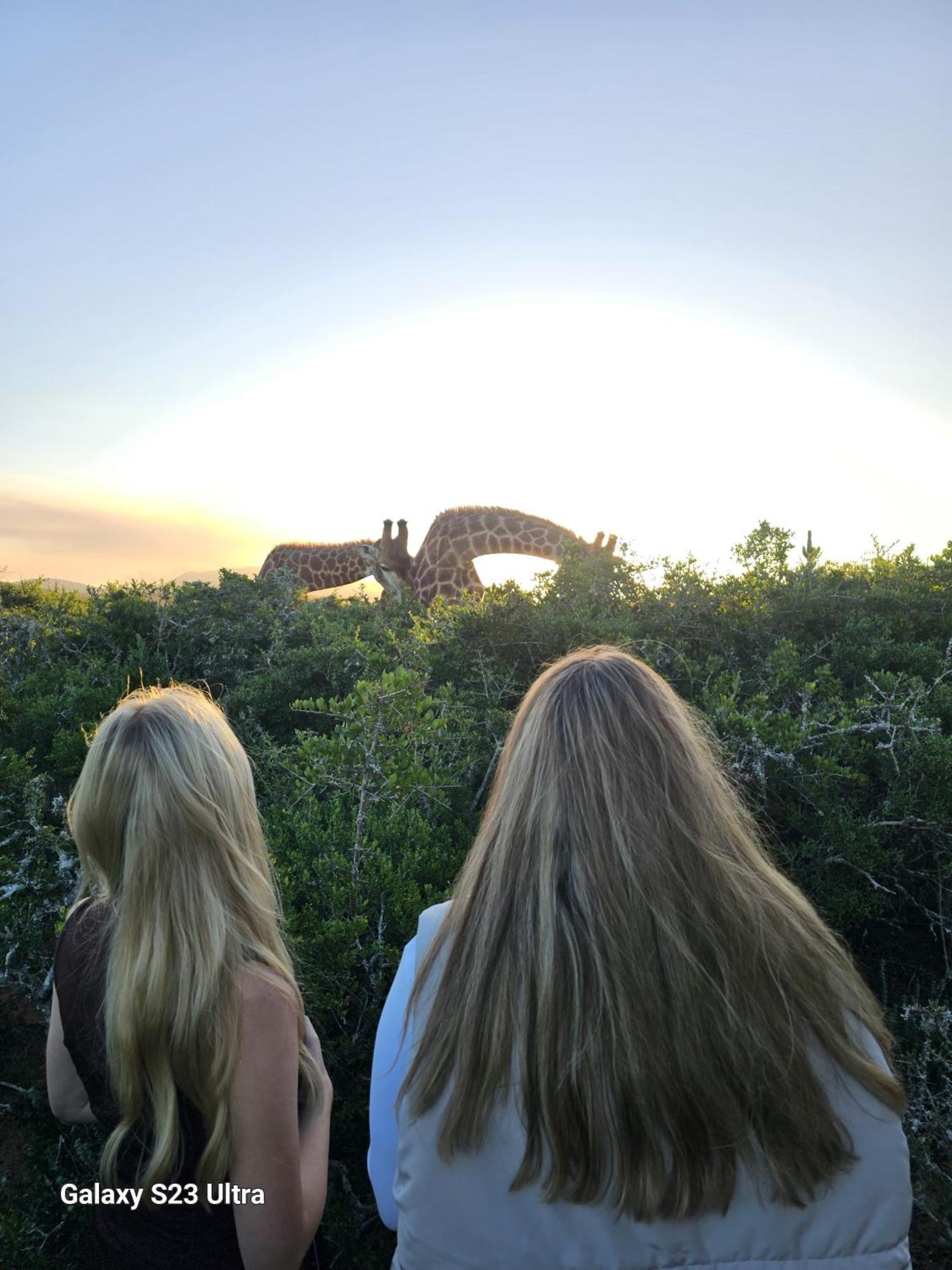 Valley Bushveld Country Lodge Addo Luaran gambar