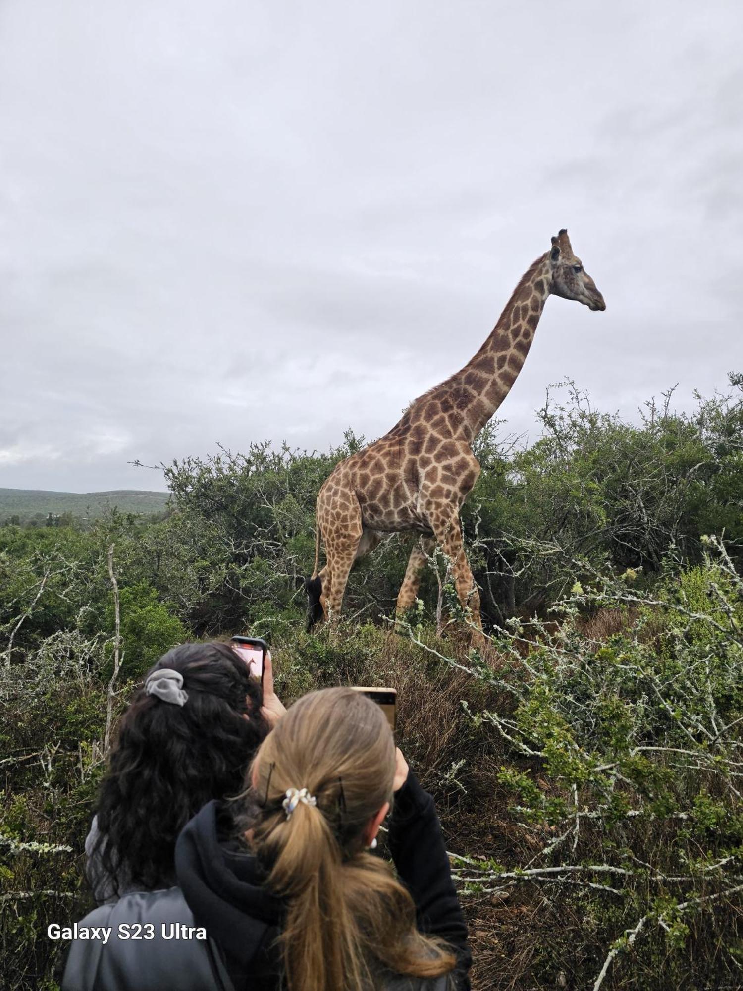 Valley Bushveld Country Lodge Addo Luaran gambar